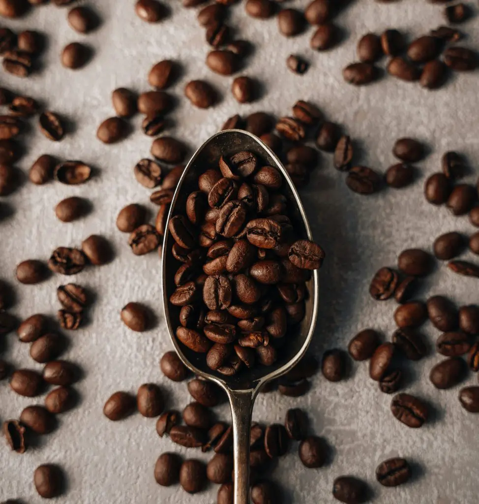 A spoon filled with coffee beans on top of a table photo